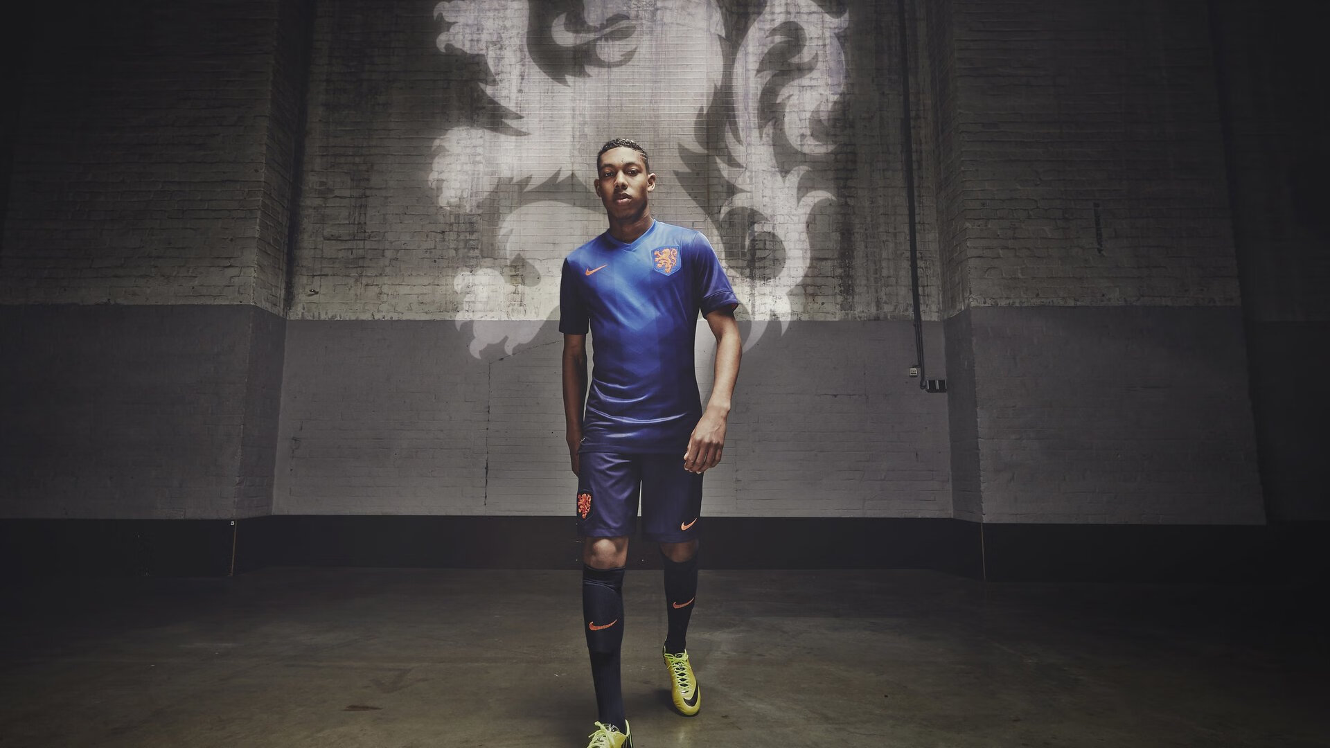 比利时马术协会举办马术运动员国际交流活动，促进文化互鉴。，比利时战马